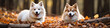© smth.design - Two Happy Dogs Relaxing in Autumn Forest with Colorful Leaves
