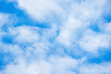 Wall Mural - blue sky with a layer of white clouds on a sunny day, natural background photo
