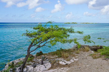 Wall Mural - Beautiful seascape Pos Chiquito Beach Park Aruba