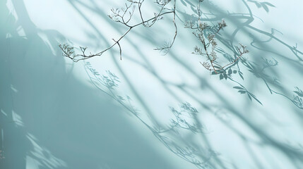 Poster - Minimalistic abstract gentle light blue background for product presentation with light and intricate shadow from tree branches on wall : Generative AI