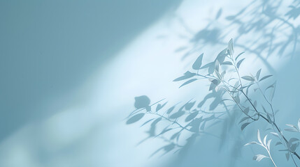 Aufkleber - Minimalistic abstract gentle light blue background for product presentation with light and intricate shadow from tree branches on wall : Generative AI
