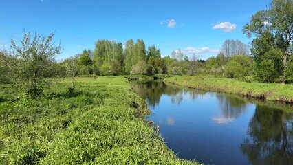 Wall Mural - River in forest, wild scenery. Water supply. Small river in forest. Wildlife Refuge Wetland Restoration. Green Nature Scenery. Zigzag River in Wildlife. Freshwater Ecosystem. Forest Landscape 