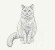 realistic illustration of cute fluffy cat with fluffy tail isolated on white background