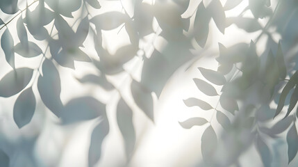 Aufkleber - Abstract shadow sun glare from glass and leaves empty background composition for product presentation Beautiful trendy background : Generative AI