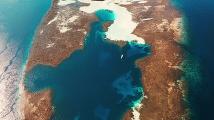 Poster - Coral reef. Aerial view of the blue shallow sea and coral reef in Komodo National Park in Indonesia