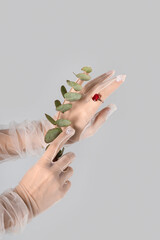 Wall Mural - Hands of young woman in gloves with ring and eucalyptus on white background