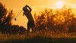 © Generative AI - Silhouette of woman playing golf on course : Generative AI