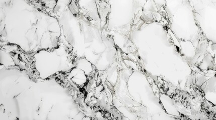 Poster - High resolution white marble texture