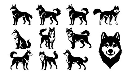 Set of siberian husky silhouette vector illustration