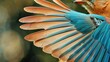 The feathers of a bird are shown in full color, with a blue and orange pattern