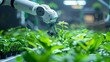 © Paul - Close-up of a robot arm delicately handling plant growth in a laboratory setting, showcasing advanced autonomous farming technology