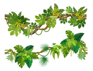 Wall Mural - tropical jungle forest liana branch. cartoon vector vines, tree, plant thicket, rainforest climbing 