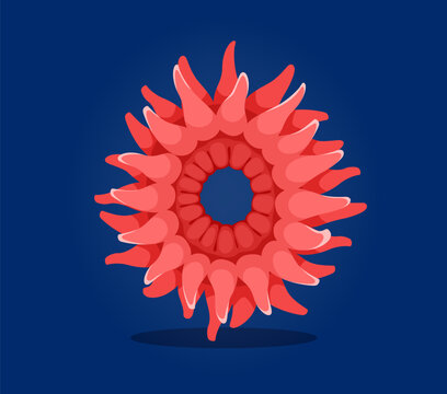 Underwater sea animals in font or undersea type of number 0 actinia, cartoon vector. Number Zero 0 of ocean alphabet or numeral typeface and of sea animals font with actinia anemone from coral reef