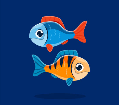 Underwater sea animals font and undersea type of equal sign of fishes, cartoon vector. Math and numeric special symbol of equality sign of funny tropical fishes for ocean alphabet type and sea font