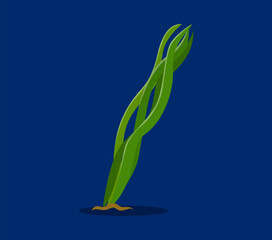 Fototapete - Underwater sea font or undersea type, slash punctuation mark of seaweed, cartoon vector. Sea font or ocean alphabet and undersea typeface of slash sign or punctuation mark for kids underwater ABC type