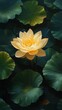 Yellow lotus in full bloom, green leafy surroundings enhancing its beauty in a quiet lake