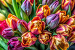 A macro shot focusing on the details of a bouquet of tulips, emphasizing the natural process of wilting and decay.