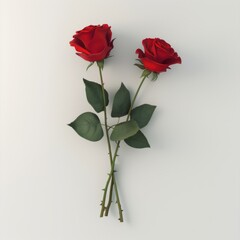 Wall Mural - Two vibrant red roses placed on a plain white background