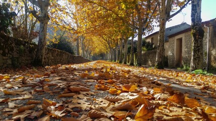 Canvas Print - Fall Season in El BolsA3n