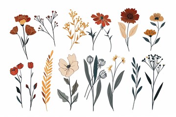 Wall Mural - minimalistic and modern graphic illustrations of wildflowers and foliage