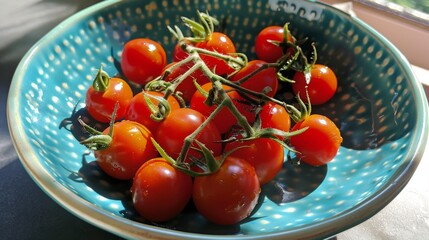 Canvas Print - cherry tomatoes freshly harvested from the garden 