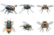 © starush - A set of six flies in various poses, PNG with transparent background, AI