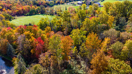 Wall Mural - Aerial View of a Colorful Autumn Forest on a Sunny Fall Day