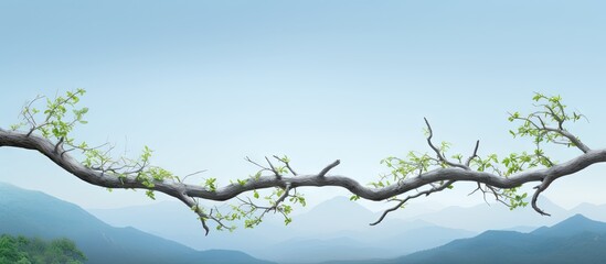 Poster - A tree branch stretching horizontally with a backdrop of natural scenery copy space image