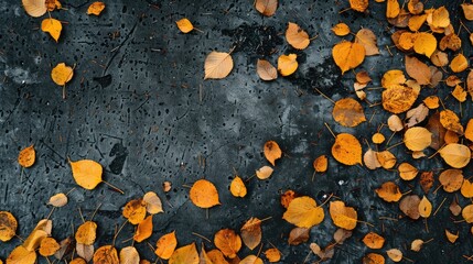 Canvas Print - Autumn birch leaves on a concrete surface viewed from above