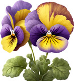 A cartoon pansy with velvety purple and yellow petals.