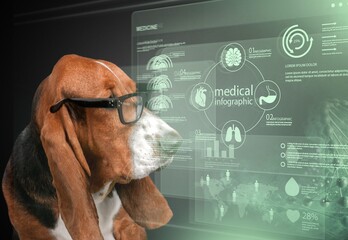 Sticker - Smart dog looks at virtual medical screen