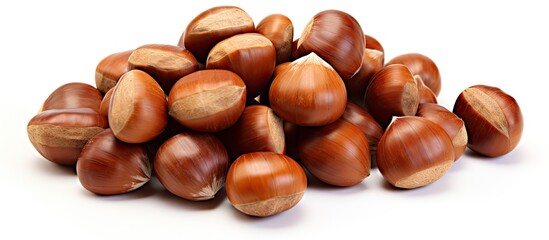 Poster - A top down view of a pile of sweet chestnuts isolated on a blank white background The copy space image showcases fresh chestnuts ready for roasting