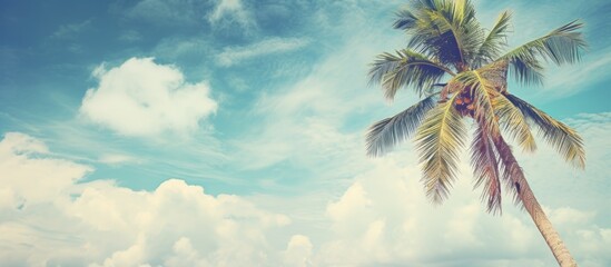 Poster - Vintage style copy space image of a tropical palm tree against a vibrant blue sky with scattered clouds creating an abstract background Evoking a sense of summer vacation and adventurous nature trave