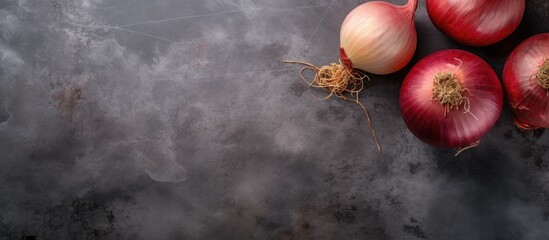 Aufkleber - Top view copy space image of giant onion bulbs on a textured stone background creating a food cooking ambiance