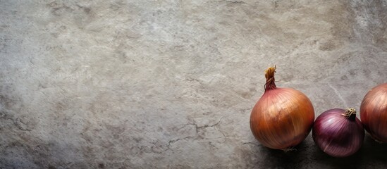 Aufkleber - Top view copy space image of giant onion bulbs on a textured stone background creating a food cooking ambiance
