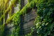 © ELIJA - A closeup view of a sustainable buildings facade with vibrant green walls covered in plants and solar panels