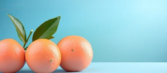 Poster - Isolated Tangerines Put Diagonally on a Pink and Blue Background With Copy Space on Each Side