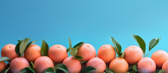 Poster - Isolated Tangerines Put Diagonally on a Pink and Blue Background With Copy Space on Each Side