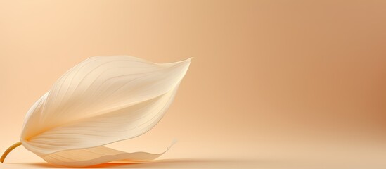 Aufkleber - Stones platform podium flower petal on beige background Minimal empty display product presentation scene. copy space available