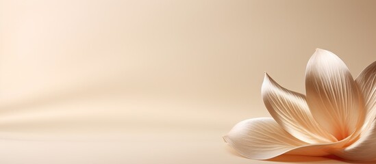 Aufkleber - Stones platform podium flower petal on beige background Minimal empty display product presentation scene. copy space available