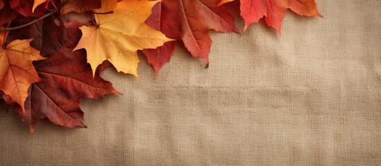 Poster - Autumn leaves in vibrant colors are showcased against a textured burlap background providing ample copy space for a seasonal concept image