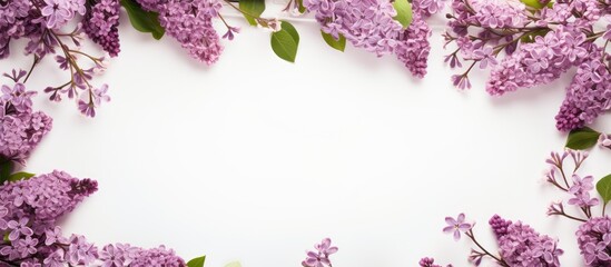 Leinwandbilder - A frame of lilac flowers branches leaves and petals with space for text on a white background Flat position top view Artistic background lilac spring flowers space for copying