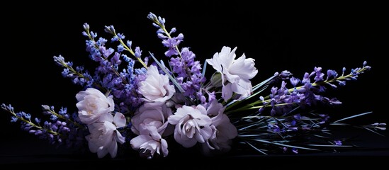 Poster - A lavender bouquet with a black background. copy space available