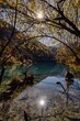 © Wirestock - Vertical of a lake surrounded by autumn trees on a sunny day