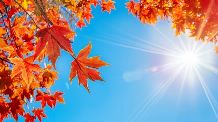 Wall Mural - Bright red and orange autumn leaves against a clear blue sky