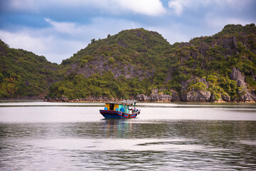 Wall Mural - Ha Long bay in Vietnam with many islands and boats