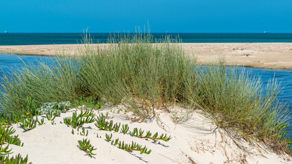 La dune