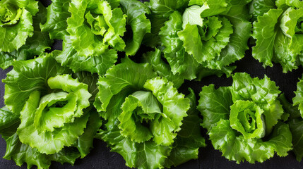 Wall Mural - Close-up shot of green lettuce leaves arranged on a black surface