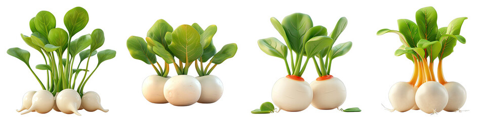 Wall Mural - Soft Smooth Turnips Hyperrealistic Highly Detailed Isolated On Transparent Background Png File