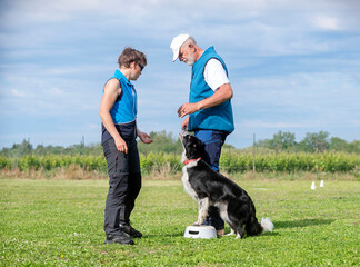 Canvas Print - obedience training for border collie